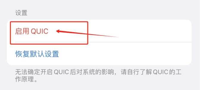 图片[2]-【IPA文件】启用QUIC协议提高iphone网速-巨魔论坛