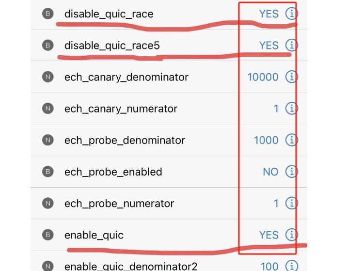 图片[3]-【IPA文件】启用QUIC协议提高iphone网速-巨魔论坛